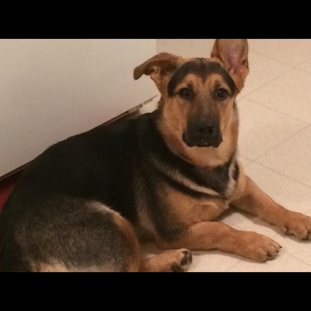 Meet your Posher, Nita